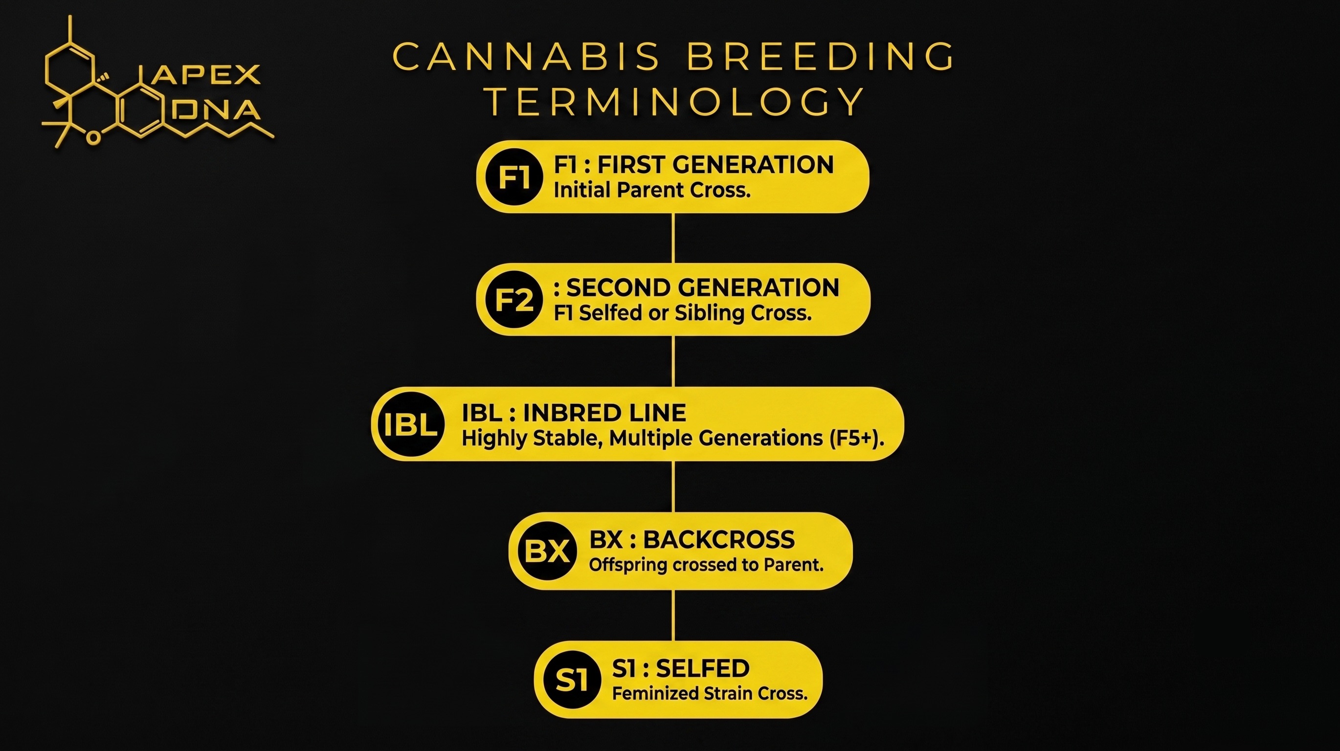 How to Read a Cannabis Genetic Lineage